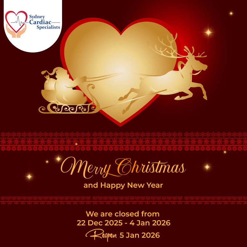 Merry Christmas and Happy New Year